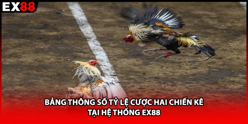 Bảng thông số tỷ lệ cược hai chiến kê tại hệ thống EX88