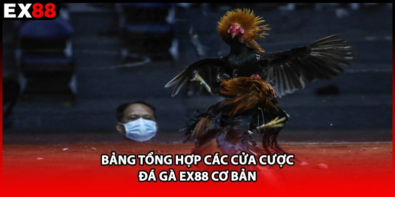 Bảng tổng hợp các cửa cược đá gà EX88 cơ bản 