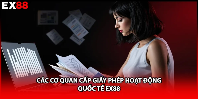 Các cơ quan cấp giấy phép hoạt động quốc tế EX88